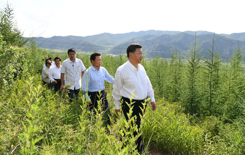 7月15日至16日，中共中央總書記、國家主席、中央軍委主席習(xí)近平在內(nèi)蒙古考察并指導(dǎo)開展“不忘初心、牢記使命”主題教育。這是15日下午，習(xí)近平在赤峰市喀喇沁旗馬鞍山林場林區(qū)，沿著崎嶇的護(hù)林小道察看林木長勢。